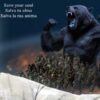 La invasión del Oso