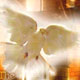 Spirito Santo