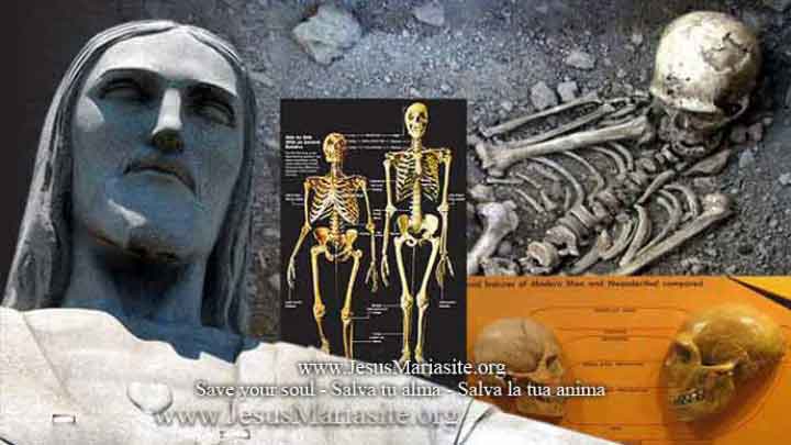 Uomini e scimmie