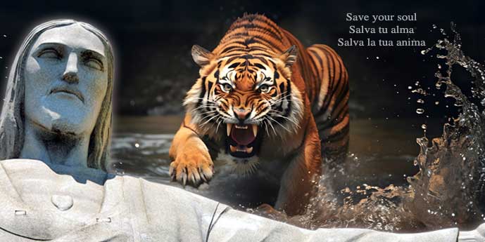 Tigre