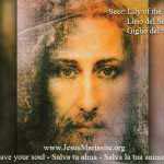 Lily of The Holy Face of Jesus