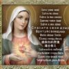 The Life Offering and the Novena in honor of the Sacred Heart of Jesus and the Immaculate Heart of Mary